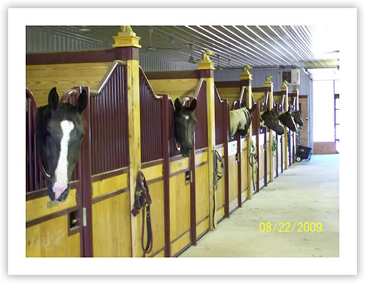 Horse barns:Stall fronts