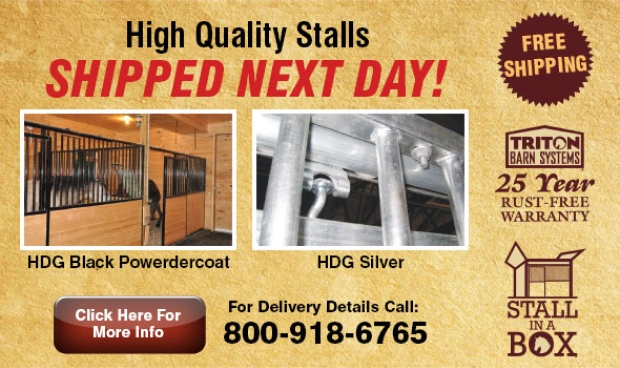 Shipped Next Day Logo