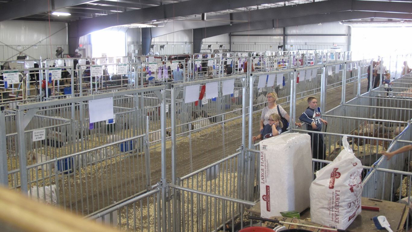 sheep and swine fencing set up at a local county fair